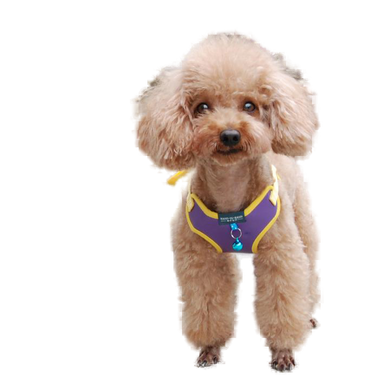 Pet Cat Dog Harness Vest