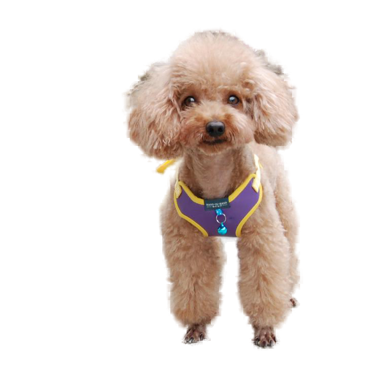 Pet Cat Dog Harness Vest