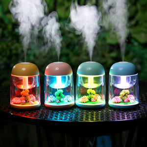 Mini Mist Humidifier