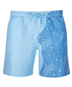 Color Changing Beach Shorts