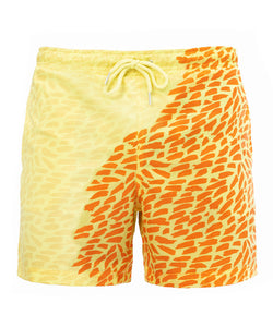 Color Changing Beach Shorts