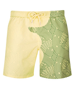 Color Changing Beach Shorts