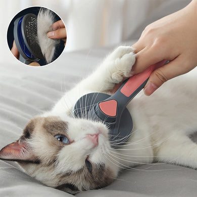 Grooming Cat Brush