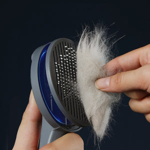 Grooming Cat Brush